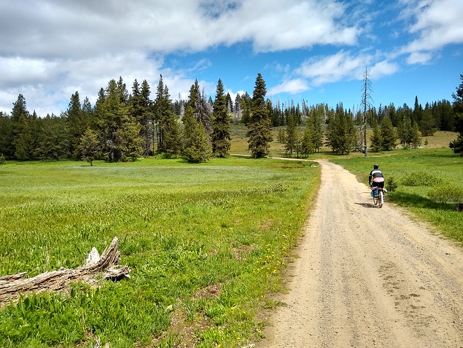 IMG_20190624_111607688_HDR