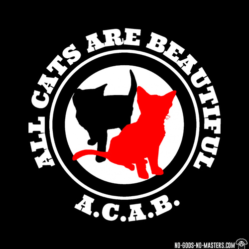 a-c-a-b-all-cats-are-beautiful-d0012251706