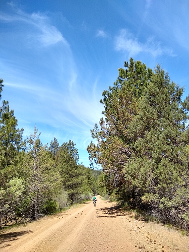 IMG_20190622_110348157_HDR