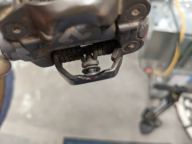 PXL_20210617_040831350