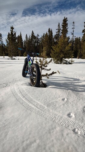 IMG_20230415_081718443_HDR