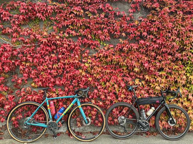 received_2057361625094802