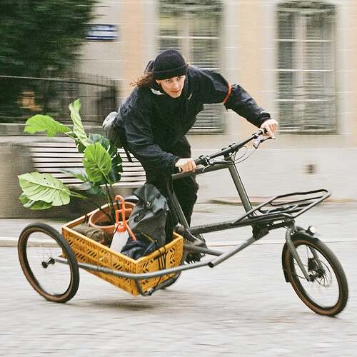 Snapinsta.app_446108200_961459825504465_5358736320806801257_n_1080