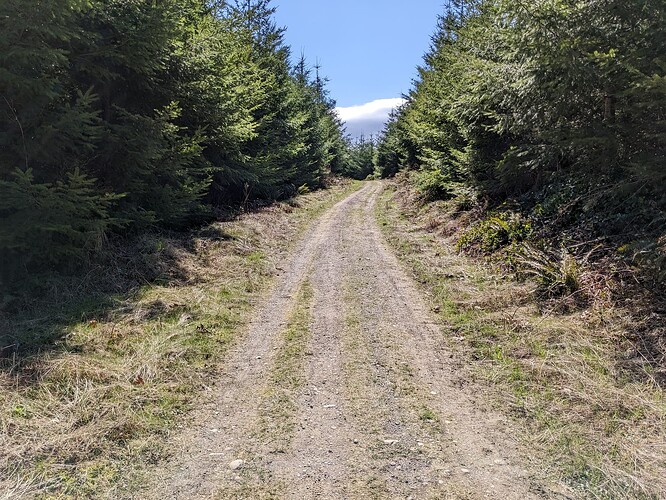 PXL_20230412_213823272