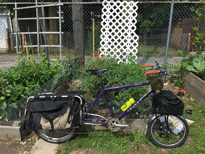 35566250282_0cb17961f8_4k