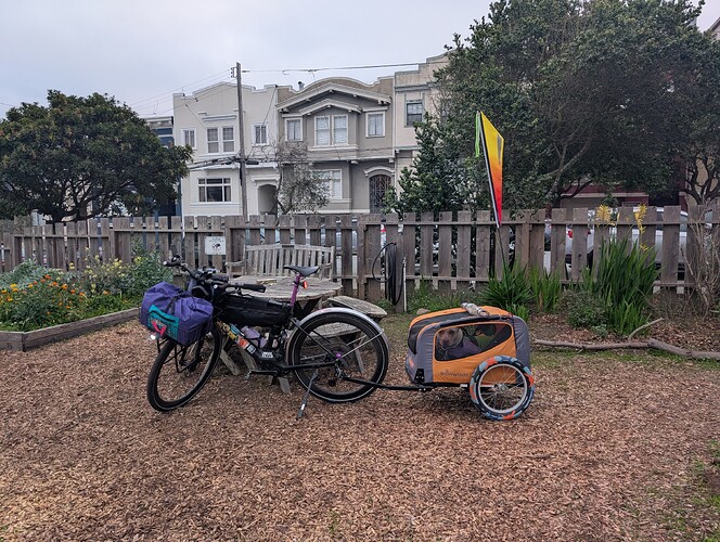 PXL_20250129_154207951