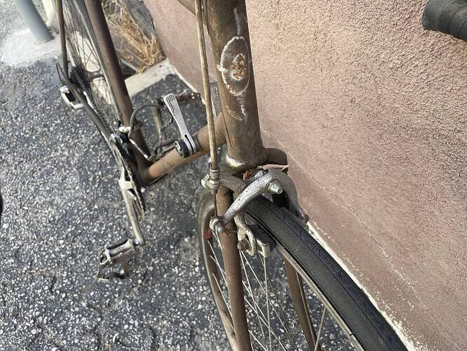 ReactNativeBlobUtilTmp_m1pc5lb2apok82dbmv80pr