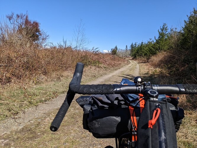 PXL_20230412_213538516