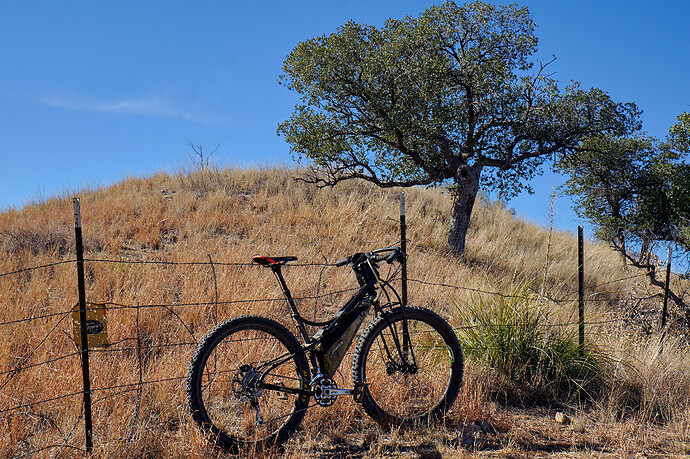 49385890772_82299141d5_o