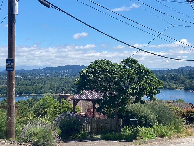 Stopping (for the sixth time) on the climb of La View