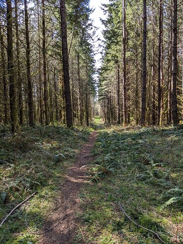 PXL_20230412_215102271