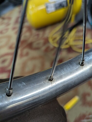 PXL_20251102_200028972