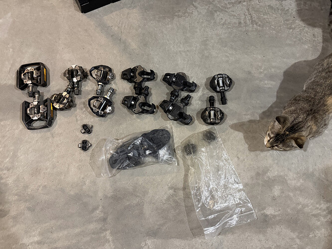 E80409D7-D530-4631-A60A-0FC9F6D2583E_1_201_a