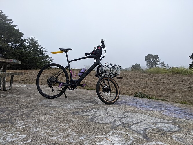 PXL_20220724_002523928