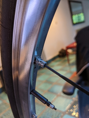 download_20200526_095028