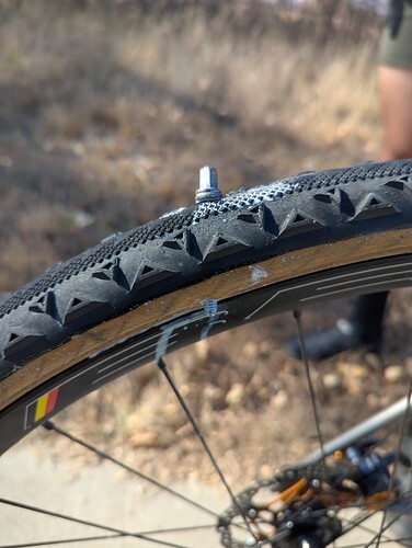 PXL_20251116_174210850