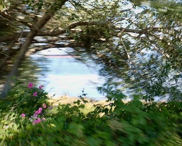 P7112297