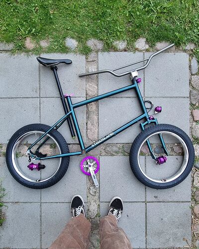 Snapinsta.app_452126617_460317653452854_63027913648817081_n_1080