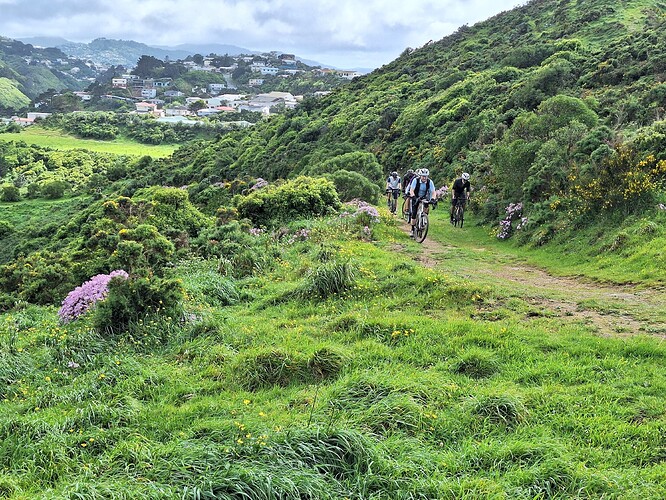 20241027_104030