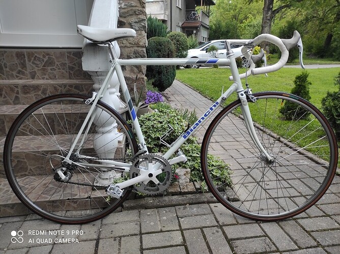 bianchi-corsa-sante-46032_8