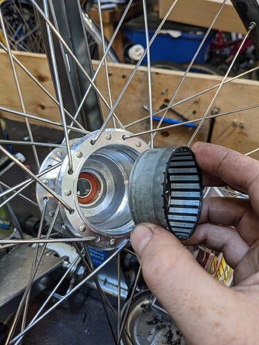 PXL_20211103_190455777