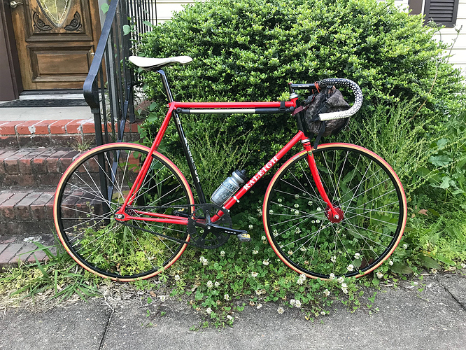 raleigh-cage-pump