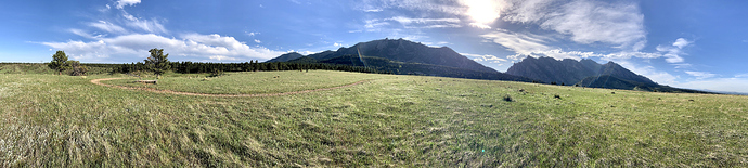 IMG_E3089