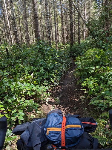 PXL_20230412_221342452