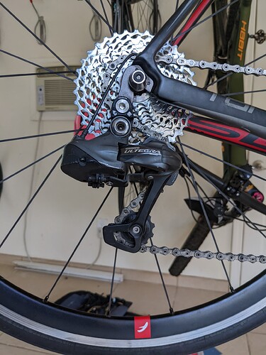 PXL_20220428_013136558