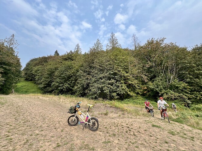 7E0CA154-B3C3-4849-BBD6-D7077A3B9E49_1_105_c