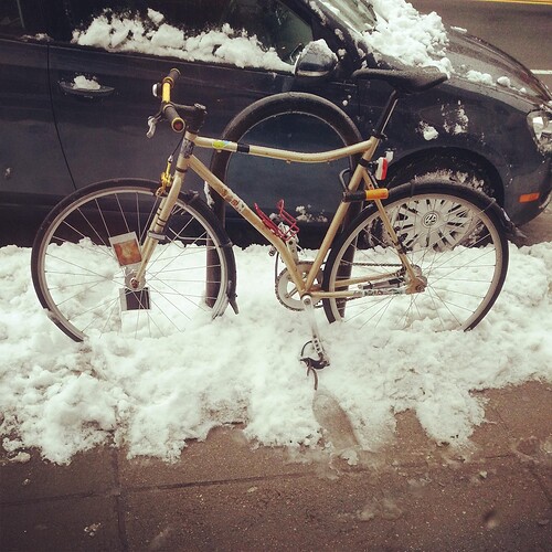 IMG_20130319_093303 (1)