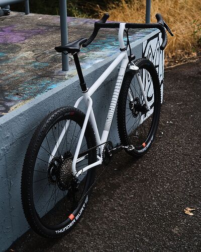 Snapinsta.app_456017765_831578849113468_1605773354191329828_n_1080