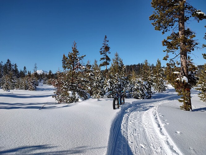 IMG_20221214_123632211_HDR