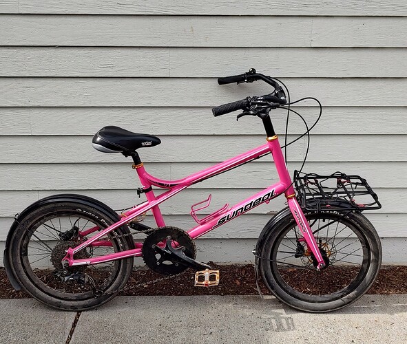 IMG_20220320_111237332_HDR~2