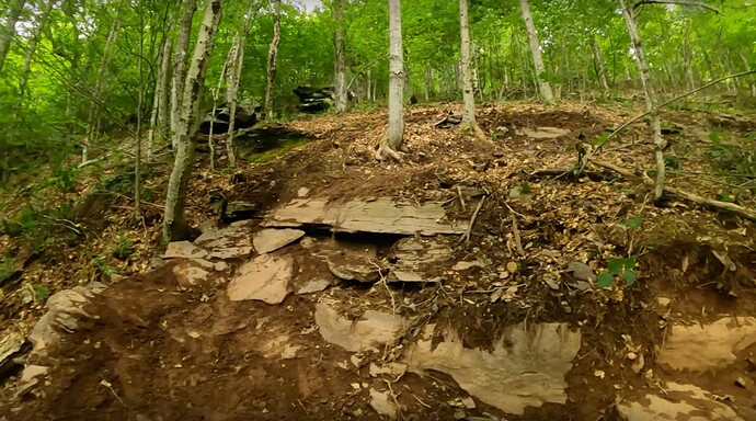 Screen Shot 2022-07-25 at 11.29.30 AM