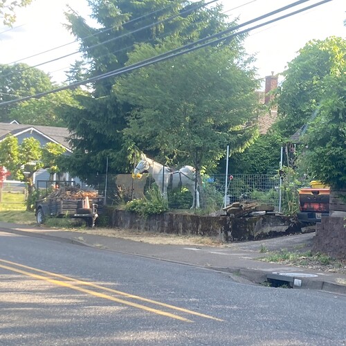 The 32nd Ave horse