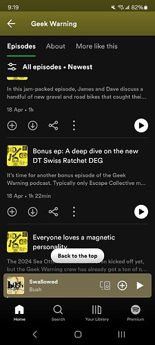 Screenshot_20240626_091958_Spotify