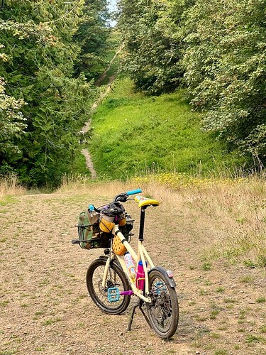 499F21B0-6FC8-4C52-91A0-9D843D3DC530_1_105_c