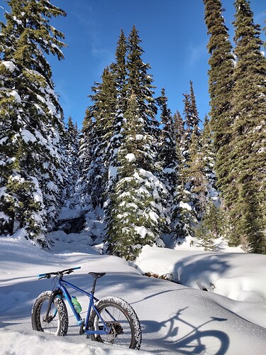 IMG_20221216_121536156_HDR