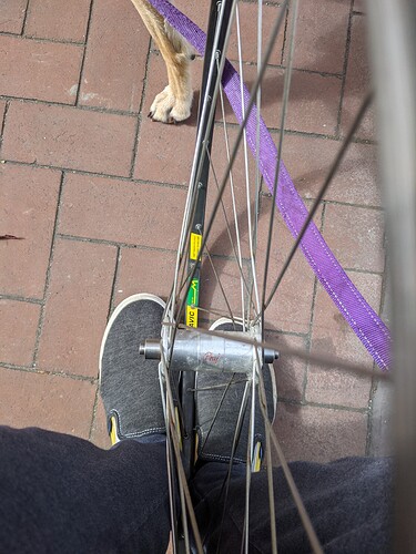 PXL_20210523_235448439