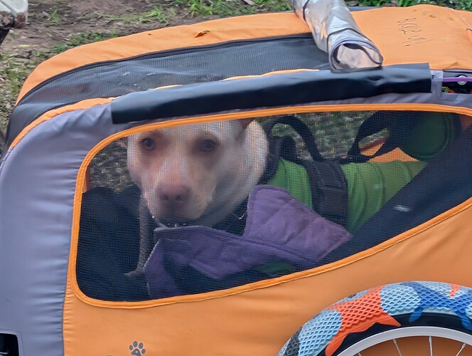 PXL_20250129_154220118