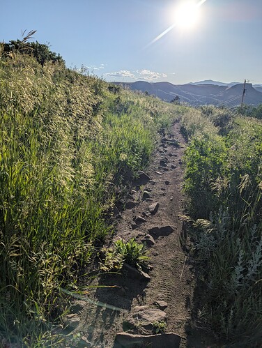 PXL_20250619_005804037