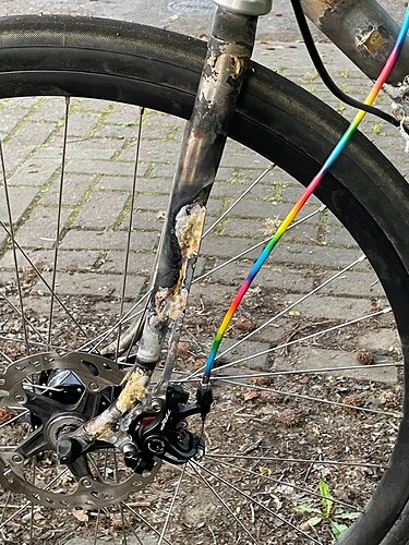 living the disco life