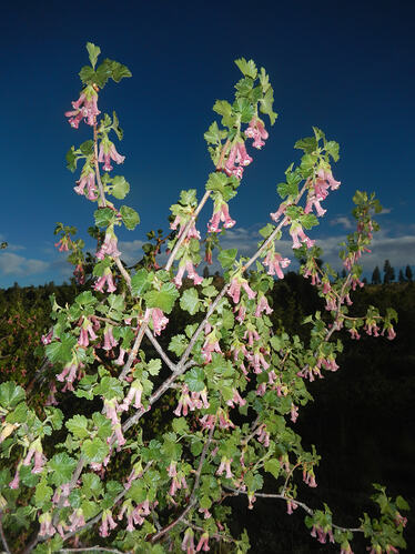 DSCN1156