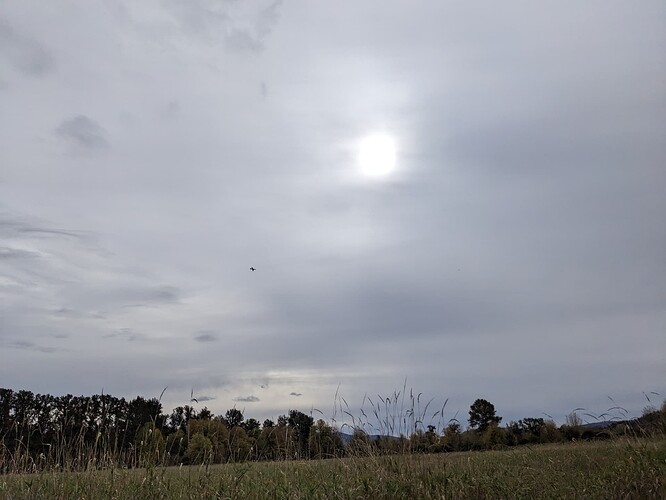 PXL_20231015_184207185