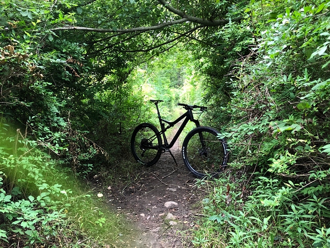 Bike3
